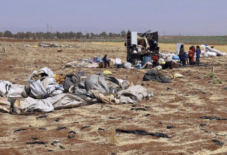 美以叙三方同意停火 但一周暴力死亡900人以上