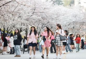 中国大学文科老师 正在“沦为”数据工人