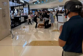 “买不起别拍”？顾客遭香奈儿柜姐群殴