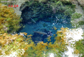 日本的九寨沟 富士山下忍野八海