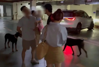 两杜宾犬没拴绳引口角，狗主反呛“咬你了吗”