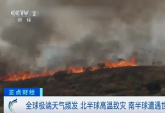46°C极端高温！西班牙超1000人死亡，专家警告