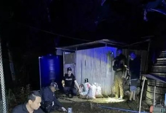 结婚当天，她发现丈夫居然还有俩妻子+10个娃！她果断悔婚却悲剧了…