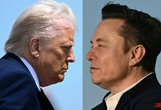 川马反目，美国政府却为何难以切割SpaceX？