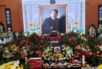 无才无德，灵前装晕？杨少华离世不到半月，杨议就“摊牌了”？
