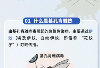 广东佛山确诊超2000例 基孔肯雅热如何预防？