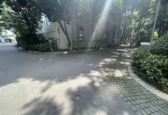 成都一8岁女童小区内被车撞倒身亡，实探小区现状