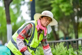 50岁之后，我开始为“第二职场”奔波