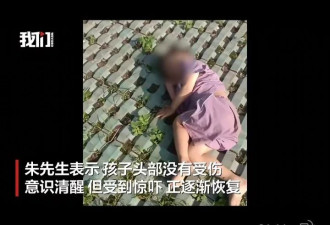 孩子18楼坠楼生还，妈妈给救命树系红花
