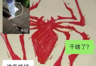 17岁高中生在柬埔寨失联，曾称回不来了记得照顾好我爸妈