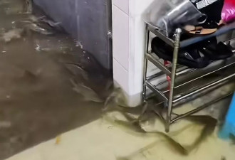 广东饶平降雨后鱼群游进居民家，当事人：水已退