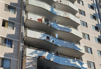 老鼠横行、漏水发霉！多伦多公寓惨不忍睹，邹至蕙亲访怒斥房东