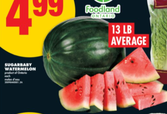 本周特价:12根玉米$1.88 哈密瓜、樱桃$1.99 牛奶$5 送24瓶可乐