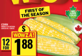 本周特价:12根玉米$1.88 哈密瓜、樱桃$1.99 牛奶$5 送24瓶可乐