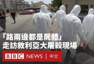 叙利亚南部城市苏韦达一家医院遭遇大屠杀