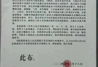 陕西咸阳市中级人民法院公告 艺人张艺洋被执行枪决