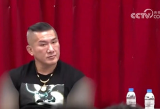 台湾网红上央视 双臂刺青变“隐形翅膀” 被笑爆