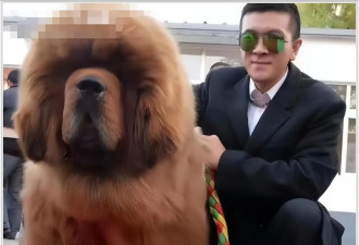 黄圣依录节目偷哭，导演叹离婚早离早好