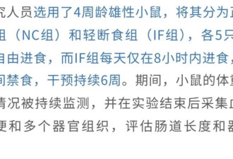 太“秃”然！轻断食又翻车了？