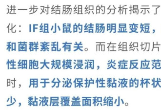 太“秃”然！轻断食又翻车了？