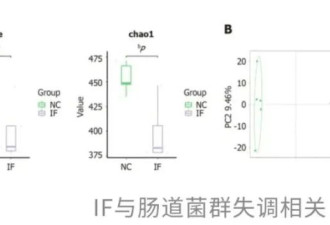 太“秃”然！轻断食又翻车了？
