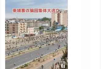 这段视频是柬埔寨诈骗园区人员集体大逃亡？