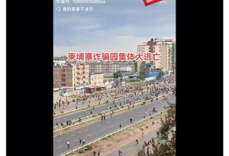 这段视频是柬埔寨诈骗园区人员集体大逃亡？