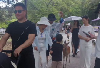 汪峰和森林北游日本：两个人领着3个小孩