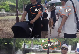 汪峰和森林北游日本：两个人领着3个小孩