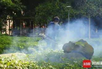 确诊超3600例！直击佛山基孔肯雅热 患者疼得...