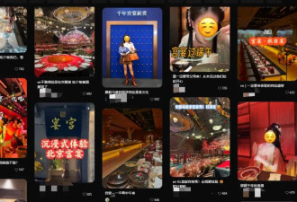 人均500块的宫廷饭爆火，从不坑穷人