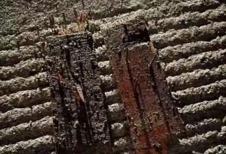 安葬老人必经之路被人撒上百颗钉子 墓地还被埋死狗