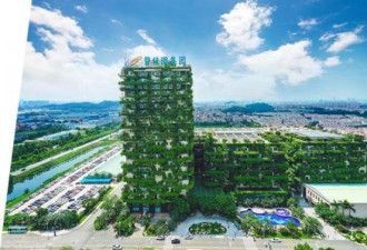碧桂园传年底前完成境外债务重组