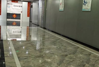 创始人妻子曝老公四婚五娃，“要为夫复仇”