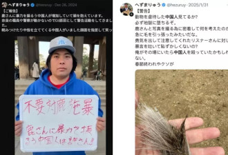 靠“碰瓷”中国人成名的“迷惑系”网红，竟当上日本议员？