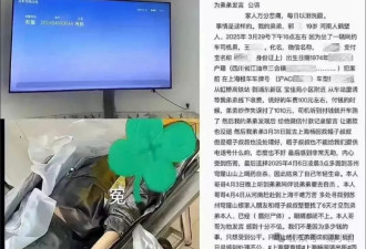 “杀死”那个错付910元车费男孩的不仅仅是司机