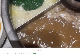 皱叶菜“杀”回来了 “中产丑菜”卖爆了？