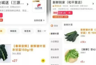皱叶菜“杀”回来了 “中产丑菜”卖爆了？