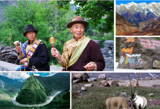专家：雅江大坝是对生物多样性的致命破坏