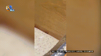 吓人！10岁孩子猛地看到床上有蛇......