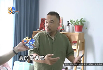 吓人！10岁孩子猛地看到床上有蛇......