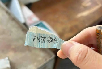 这个夏天，我不想做“腋下管理”了