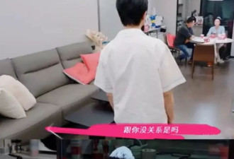 了解张维伊家庭后,不得不说,董璇这个“火坑”跳对了