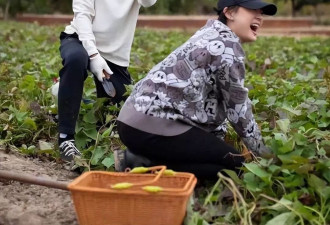 孙俪的“豪宅”火了，粗茶淡饭，田里摘菜！