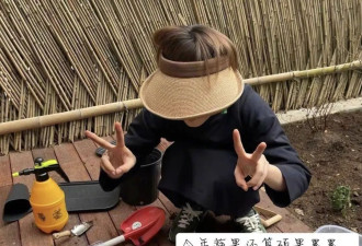 孙俪的“豪宅”火了，粗茶淡饭，田里摘菜！