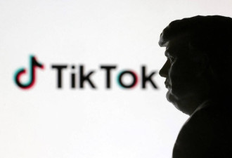 美商务部长曝：TikTok深受川普喜爱