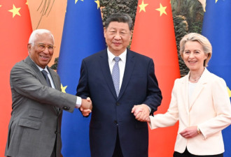 欧洲这个“大个子”正在走向歧途