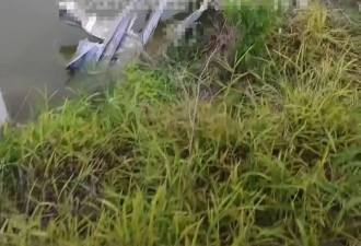 湖南一地"天降多块不明物体"，当地:系卫星整流罩