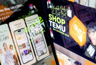 欧盟认定Temu未能遏制非法商品 或面临巨额罚款