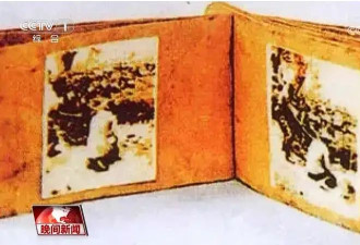 豆瓣评分8.6、预估票房30亿+，题材严肃的《南京照相馆》凭啥引发全民共振？